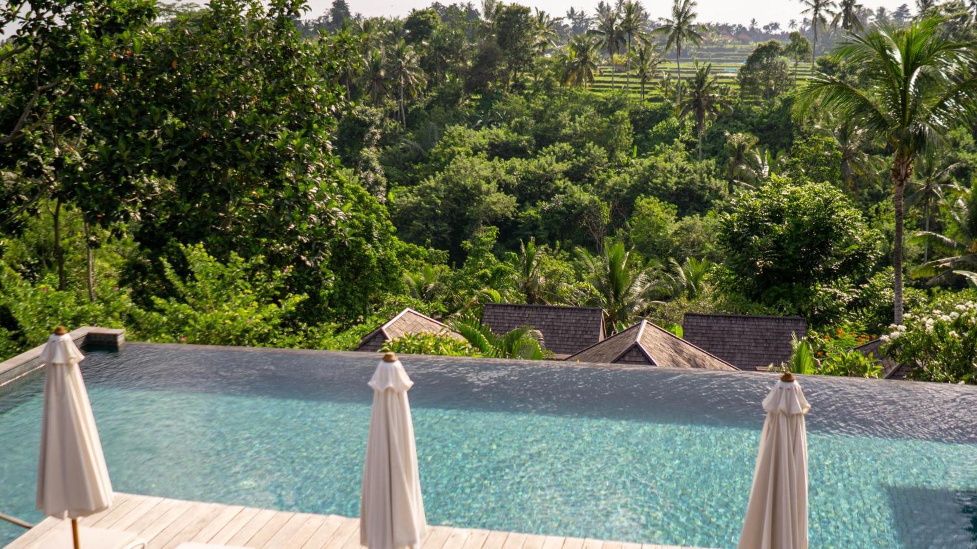 Tejaprana Bisma - Chse Certified Hotel Ubud Kültér fotó View from the pool