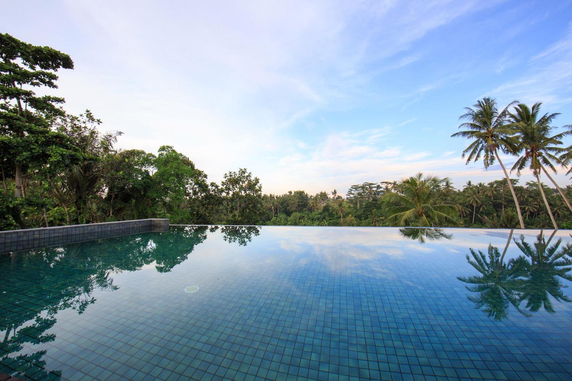 Tejaprana Bisma - Chse Certified Hotel Ubud Kültér fotó Infinity pool at the Alila Manggis